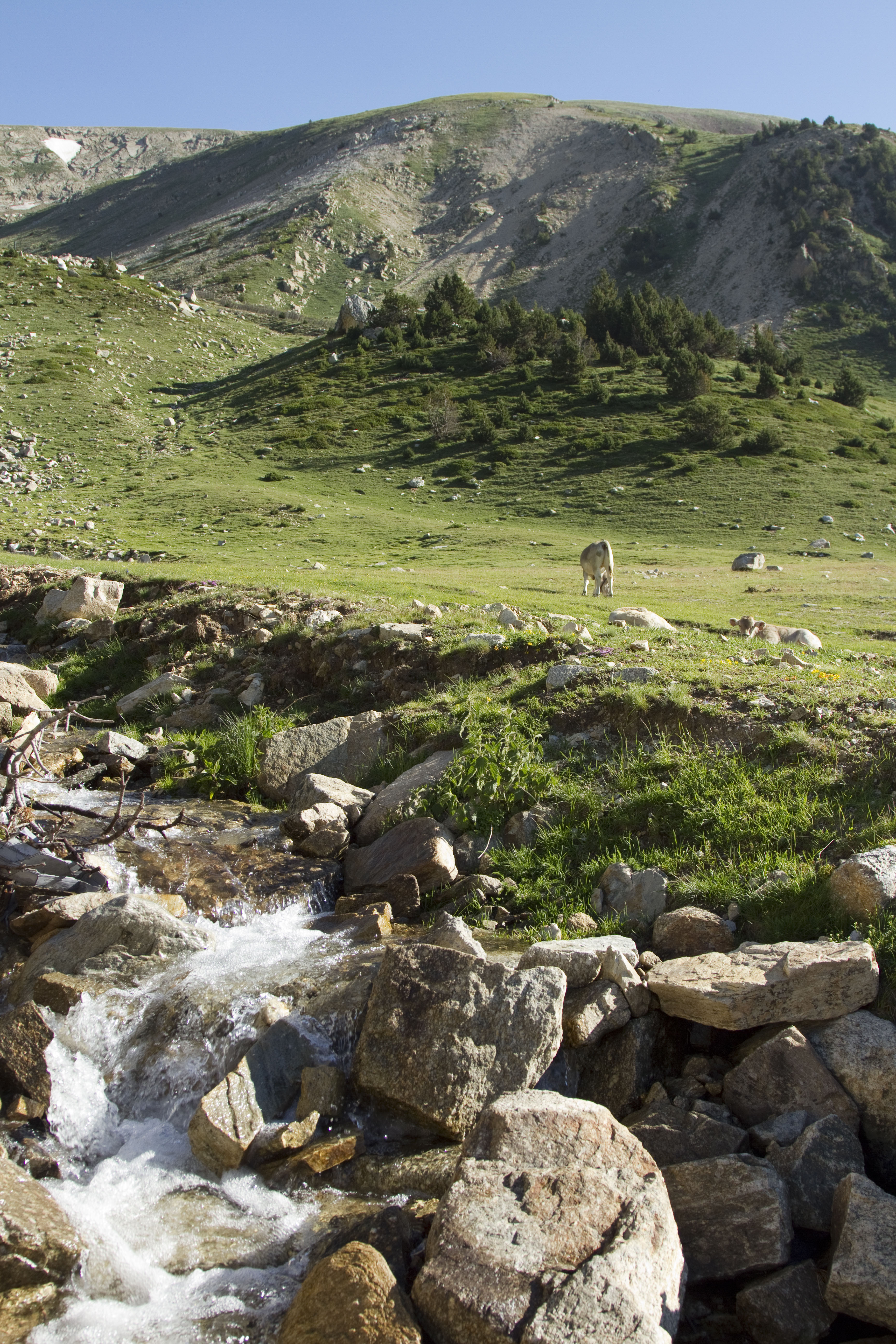 River Ter source and downhill Pista Xalet d’ull de Ter